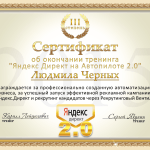 Мой сертификат Яндекс 2.0